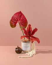 Load image into Gallery viewer, Vintage Leather &amp; Sandalwood
