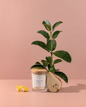 Load image into Gallery viewer, English Pear &amp; Freesia
