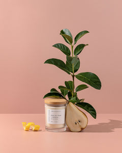 English Pear & Freesia