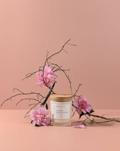 Japanese Cherry Blossom