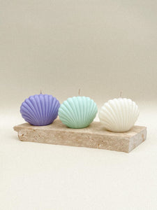 Summer Time Sea Shells (3pack)