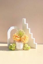 Load image into Gallery viewer, Lychee Peony
